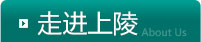 网赌入口,(中国)官方网站